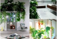 Plants for a peaceful interior.
